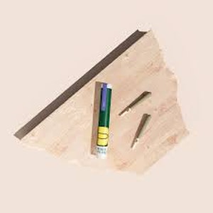 The Botanist - The Botanist - OG Kush - 2pk Infused Prerolls