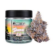 [Connected] Flower - 3.5g - Guava 2.0 (I/H)