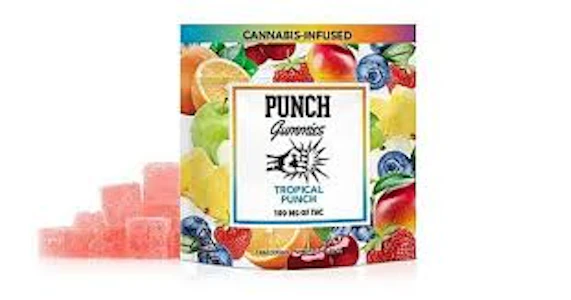 Punch - [Punch] THC Gummies -100mg - Tropical Punch (H)