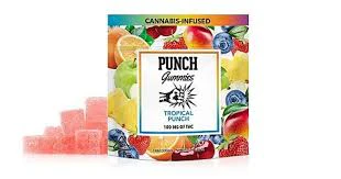 Punch - [Punch] THC Gummies -100mg - Tropical Punch (H) Main Image