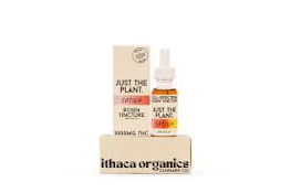 X| Ithaca | Just the Plant | SATIVA | Tincture