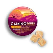 X| Camino | Sour Orchard Peach | Gummy | 10ct