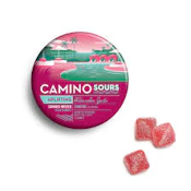 X| Camino | Sour Watermelon Spritz | Gummy | 10ct