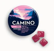 X| Camino | Wild Berry | Gummy | 20ct