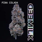 X| MilkWeed | Pina Colada | Flower | 3.5 