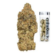 X| MilkWeed | Candy Funk | Flower 3.5g 