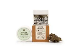 X| Ithaca | White Truffle | Flower | 3.5g
