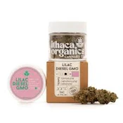 X| Ithaca | Lilac Diesel GMO | Flower | 3.5g
