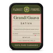 X| Florist Farms | Grandi Guava | 7pk | 3.5g