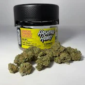 X| Hashtag  | Honey Lemon Cherry Gelato | 28g