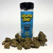 X| Hashtag Honey | Trop Fire | 14g