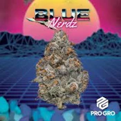 Blue Nerdz | Pro Gro | Bulk Flower