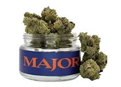 X| Major | Deep Space | Flower | 3.5g