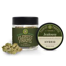 Florist Farms - X| Florist Farms | Jealousy | Flower | 7g Main Image