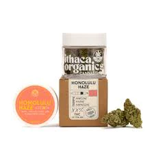 ITHACA ORGANICS - X| Ithaca Organics | Honolulu Haze | Flower | 3.5g Main Image