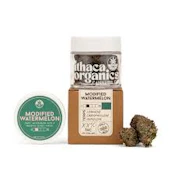 X| Ithaca Organics | Modified Watermelon | Flower | 3.5g