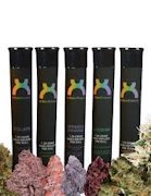 Berries & Bananas 1.2g Hash Infused Preroll - Hybrid | UrbanXtracts