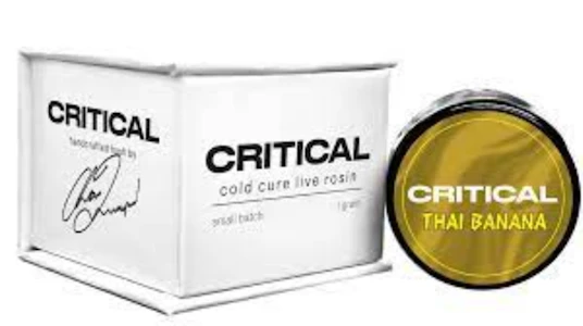 Critical Concentrates - Critical Concentrates-Thai Banana-Cold Cure Live Rosin Dab-1g