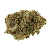 Jet Fuel Gelato | BAMN | Bulk Flower