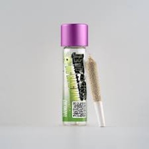 Jetpacks - Jetpacks: Big Bang Mini Empire OG | Indica 0.5g