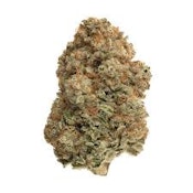 Orange Kush Mints | Common Citizen | Bulk Flower