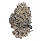 Oreoz | Cloud Farms | Bulk Flower