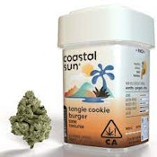 COASTAL SUN - Tangie Cookie Burger 3.5g