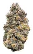 Laughing Gas | Freedom Green Farms | Bulk Flower