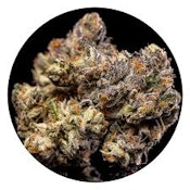 Triangle Larry | Common Citizen | Bulk Flower