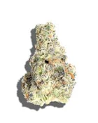 Nighty Night | Freedom Green Farms | Bulk flower