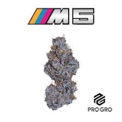 M5 | Pro Gro | Bulk Flower