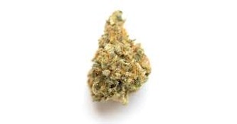 Monkey Bread | Common Citizen | Bulk Flower