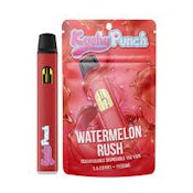 KUSHY PUNCH - Watermelon Rush ALL-IN-ONE 1000mg 