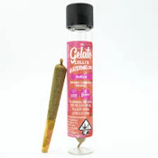 Gelato Lolli's Single Infused Preroll 1.2g Indica Grand Daddy Purple 
