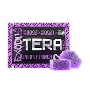 Exodus - Terabyte THC-A + THC-P + CB9A Tera Bytes Gummies 2,500mg - High Potency - Purple Punch