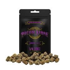 Pacific Stone - Pacific Stone - Garlic OZ (I) 7g Flower Main Image