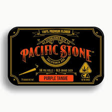Pacific Stone | 14pk .5g Pre-Roll | Sativa | Purple Tangie | 7g