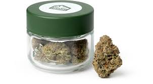 Green Habitat - Dreamland 3.5g
