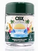 Blue Crush 3.5g Jar - CBX