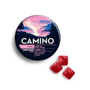 Camino - Wild Berry Chill - Gummies - .1g - 20pk