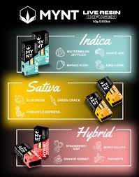 Mynt 3.5 Gram Disposable Vapes