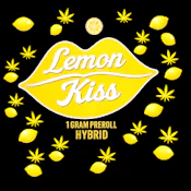 X| Akron Bloom | Lemon Kiss | Pre Roll 1G 