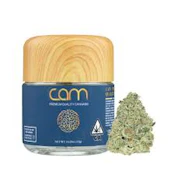 [CAM] Indoor Flower - 3.5g - GG#4 (H)