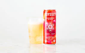 Odyssey Mushroom Elixir - Odyssey Mushroom Elixir Energy + Focus Passion Fruit Orange Guava Main Image