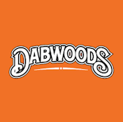 Dabwoods - Lil Woods Georgia Push ALL IN ONE 500mg