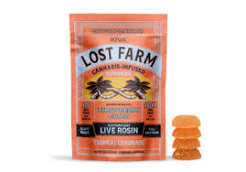 Lost Farm - Tropical Lemonade x Ztrawberry Guava - Live Rosin Infused Gummies 100mg 10pk Main Image
