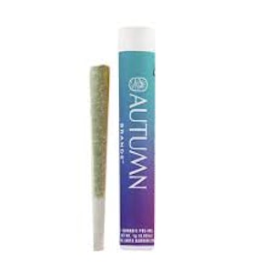 AUTUMN BRANDS - Autumn Brands Preroll 1g Purple Carbonite