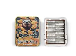 KOA - KOA- RS-11- 0.35g/10pk- resin infused prerolls Main Image