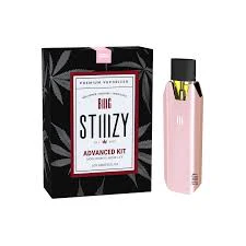 STIIIZY - STIIIZY | BIIG Battery | Rose Main Image