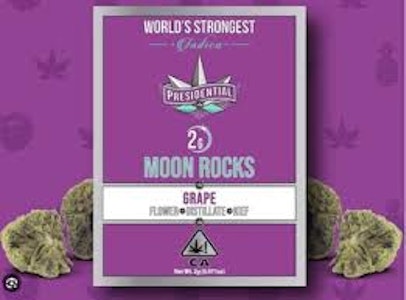 PRESIDENTIAL - Presidential Infused 2g Grape